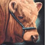 Keith Glasgow - BULL - Coloured Print on Canvas - 12 x 12 inches - Unsigned