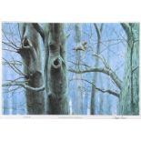 Julian Friers, RUA - LONG EARED OWL, CAIRN WOOD, COUNTY DOWN - Limited Edition Coloured Print (5/