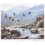 Julian Friers, RUA - IRISH RED GROUSE NEAR GLENDALOUGH, COUNTY WICKLOW - Limited Edition Coloured