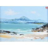 David Gordon Hughes - ERRIGAL, COUNTY DOWN - Oil on Canvas - 6 x 8 inches - Signed