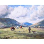 Charles McAuley - CATTLE GRAZING IN THE GLENS - Coloured Print - 6 x 8 inches - Unsigned