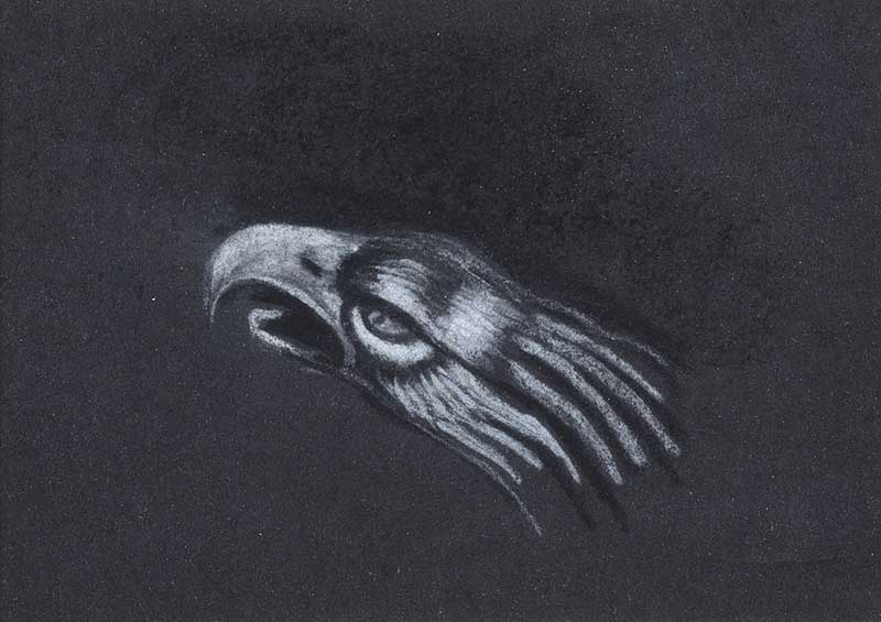 Patsy Farrell - HEAD OF AN EAGLE - Chalk on Paper - 5 x 7 inches - Unsigned