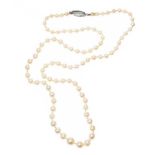 VINTAGE STRAND OF CULTURED PEARLS WITH SILVER CLASP