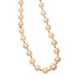 STRAND OF PEARLS WITH 9CT GOLD CLASP