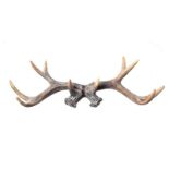 ANTLER STYLE COAT HANGER