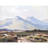 Maurice Canning Wilks, ARHA, RUA - IN THE MAAM VALLEY, COUNTY GALWAY - Oil on Canvas - 14 x 18