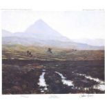 Julian Friers, RUA - IRISH RED GROUSE, ERRIGAL, COUNTY DONEGAL - Limited Edition Coloured Print (