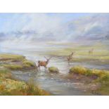 Vittorio Cirefice - STAGS, PERTHSHIRE - Oil on Board - 13 x 17 inches - Signed