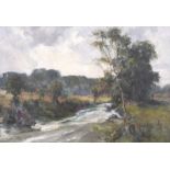 William Gibbs Mackenzie, ARHA - TREES BY THE RIVER - Oil on Canvas - 14 x 20 inches - Unsigned