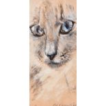 Con Campbell - CATS EYES - Oil on Board - 11 x 5 inches - Signed