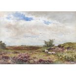 Wycliffe Egginton, RI, RCA - SHEEP GRAZING ON THE MOORS - Watercolour Drawing - 15 x 21 inches -