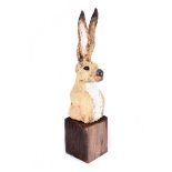 Audrey Smyth - IRISH HARE - Terracotta Sculpture - 17 x 5 inches - Signed in Monogram