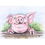 Andy Saunders - HAPPY PIG - Watercolour Drawing - 5 x 7 inches - Signed