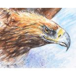 Andy Saunders - GOLDEN EAGLE - Watercolour Drawing - 6 x 8 inches - Signed