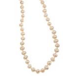 9CT GOLD CULTURED PEARL STRAND