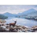 Julien Friers, RUA - HIGHLAND STAG - Coloured Print - 7 x 9.5 inches - Unsigned