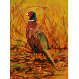 Ronald Keefer - PHEASANT - Oil on Board - 15 x 11 inches - Signed