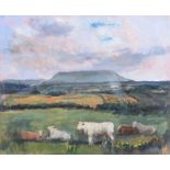 Hilary Bryson - LANDSCAPE, COWS WITH BEN BULBEN IN THE BACKGROUND - Oil on Canvas - 16 x 20 inches -