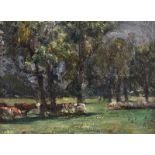 Irish School - CATTLE GRAZING BY TREES - Oil on Canvas - 12 x 16 inches - Signed