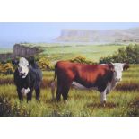 Keith Glasgow - COWS ON THE ANTRIM COAST - Coloured Print - 12 x 17 inches - Unsigned