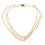 TRIPLE STRAND OF CULTURED PEARLS WITH 9CT GOLD CLASP