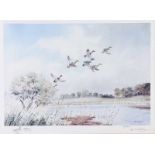 Robert W. Milliken - MALLARDS OVER WETLANDS - Limited Edition Coloured Print (110/300) - 14 x 20