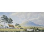 Ursula Spry - NEAR CASTLEWELLAN - Watercolour Drawing - 9 x 20 inches - Signed