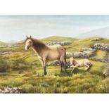 Irish School - MARE & FOAL - Oil on Canvas - 23 x 32 inches - Signed
