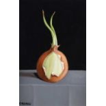 Kevin Meehan - ONION - Oil on Board - 6 x 4 inches - Signed