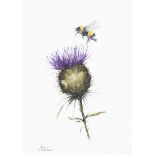 Lawrence Chambers - THISTLE & BUMBLE BEE - Watercolour Drawing - 8 x 5.5 inches - Signed