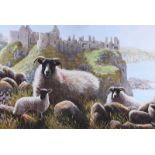Keith Glasgow - SHEEP AT DUNLUCE CASTLE - Coloured Print on Canvas - 12 x 18 inches - Unsigned