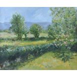 Robert Bottom, RUA - SUMMER LANDSCAPE - Oil on Board - 19 x 24 inches - Signed