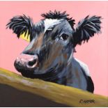 Ronald Keefer - COW ON PINK - Oil on Board - 24 x 24 inches - Signed
