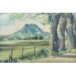 Ray Cochrane - LURIG MOUNTAIN, CUSHENDALL - Oil on Board - 14 x 21 inches - Signed