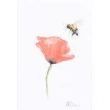 Lawrence Chambers - POPPY & BUMBLE BEE - Watercolour Drawing - 5.5 x 3.5 inches - Signed