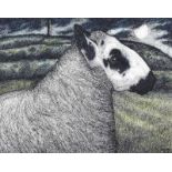 Seren Bell - KERRY HILL RAM - Pen & Ink Drawing with Watercolour Wash - 7.5 x 9.5 inches - Signed