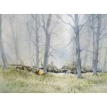 George C. Morrison, RUA - TREES AT LAGAN VALLEY PARK - Watercolour Drawing - 13 x 18 inches -