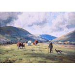 Charles McAuley - CATTLE GRAZING IN THE GLENS - Coloured Print - 6 x 8 inches - Unsigned