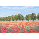 Lawrence Chambers - FIELD OF POPPIES - Pastel on Paper - 9.5 x 13 inches - Signed