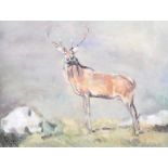 Con Campbell - THE COUNTY DOWN STAG - Oil on Board - 12 x 16 inches - Signed