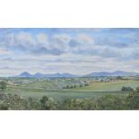 David Crosby - THE MOURNES FROM SCRABO - Oil on Board - 12 x 20 inches - Signed