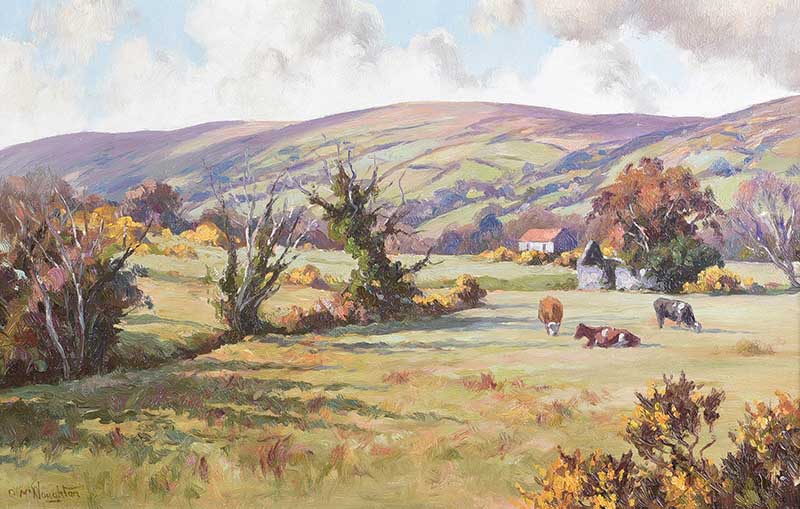 Donal McNaughton - CATTLE GRAZING IN THE GLENS - Oil on Board - 16 x 24 inches - Signed