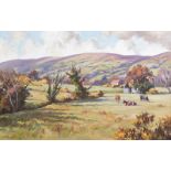 Donal McNaughton - CATTLE GRAZING IN THE GLENS - Oil on Board - 16 x 24 inches - Signed