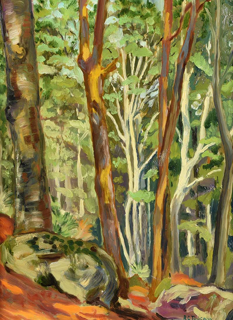 Romeo Charles Toogood, RUA, ARCA - WOODLANDS - 12 x 9 inches - Signed