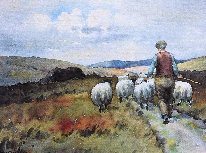 Charles McAuley - DRIVING SHEEP - Coloured Print - 6 x 8 inches - Unsigned