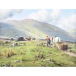 Charles McAuley - COLLECTING TURF IN THE GLENS - Oil on Canvas - 14 x 19 inches - Signed