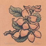 Robert G. Sellar - APPLE BLOSSOM - Watercolour Drawing - 7 x 7 inches - Signed