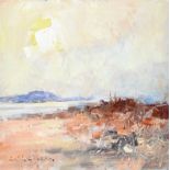 Colin Gibson - SCRABO FROM STRANGFORD LOUGH - Oil on Board - 7 x 7 inches - Signed
