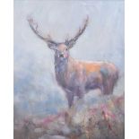 Oran Maguire - STAG - Oil on Board - 10 x 8 inches - Signed