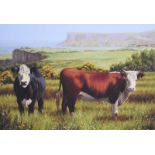Keith Glasgow - CATTLE GRAZING ON THE ANTRIM COAST - Coloured Print on Canvas - 12 x 18 inches -